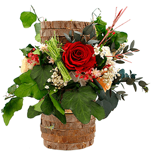 Centros Flores Preservadas